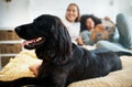 Dog, bed and lesbian couple in home, morning and relax together in house. Pet, bedroom and gay women with animal sitting Royalty Free Stock Photo