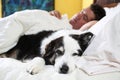 Dog on bed next to his sleeping owner