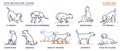 Dog Behavior Icons Set