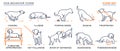 Dog Behavior Icons Set Royalty Free Stock Photo