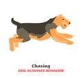 Dog Behavior Problems Icon