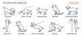 Dog Behavior Problems Icons Set Royalty Free Stock Photo