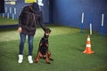 Dog being trained in the obedience school