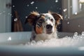 Dog being washed in bath tube full of foam.