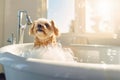 Dog being washed in bath tube full of foam. Generative AI Royalty Free Stock Photo