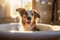 Dog being washed in bath tube with soap bubbles. Generative AIustration Royalty Free Stock Photo