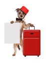 Dog Bellhop With Sign