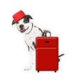 Dog Bellhop With Suitcase