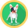 Dog best of breed medal icon flat design