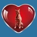 I like dogs, they are in my heart !