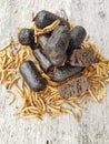 Dog and bird food, snack sausage from hermetia larvae