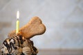 Dog Birthday Cupcake with Lighted Yellow Candle