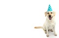 DOG BIRTHDAY OR NEW YEAR PARTY. LOVELY LABRADOR PUPPY WEARING A BLUE POLKA DOT HAT. ISOLATED STUDIO SHOT AGAINST WHITE BACKGROUND