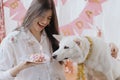 Dog birthday party. Happy woman celebrating dog first birthday with donut and candle in festive room Royalty Free Stock Photo