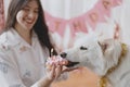 Dog birthday party. Happy woman celebrating dog first birthday with donut and candle in festive room Royalty Free Stock Photo