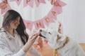 Dog birthday party. Happy woman celebrating dog first birthday with donut and candle in festive room Royalty Free Stock Photo