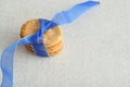 Dog biscuits with a blue ribbon Royalty Free Stock Photo