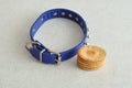 Dog biscuits and spike collar