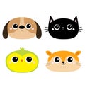 Dog Black Cat Hamster Parrot bird head face round icon set. Big eyes. Kitty kitten. Funny Kawaii animal. Kids print. Cute cartoon Royalty Free Stock Photo