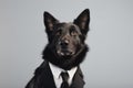 Dog In A Black Mens Business Suit On A White Background. Generative AI