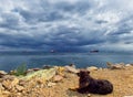 A dog, Black Sea view and anchored ships