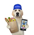 Dog delivers food online Royalty Free Stock Photo