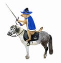 Dog in blue cloak rides horse