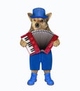 Dog plays the accordion