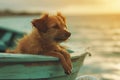 Dog on a boat near the beach. Small dog in a wooden boat on the lake. Generative AI Royalty Free Stock Photo