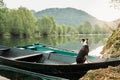 dog in a boat at sunrise. Beautiful pet on a morning walk. Adventure, Royalty Free Stock Photo