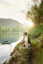 dog in a boat at sunrise. Beautiful pet on a morning walk. Adventure, Royalty Free Stock Photo