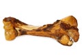 Dog bone