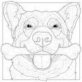 Dog with a bone in its mouth.Coloring book antistress for children and adults Royalty Free Stock Photo