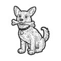 dog with bone in teeth sketch vector illustration