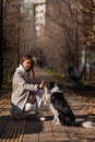 Dog border collie gives high five to the owner on a walk in the autumn park. Royalty Free Stock Photo