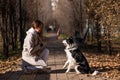 Dog border collie gives high five to the owner on a walk in the autumn park. Royalty Free Stock Photo