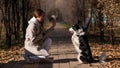 Dog border collie gives high five to the owner on a walk in the autumn park. Royalty Free Stock Photo