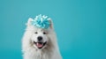 dog with bow on head, clean pastel background