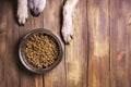 Dog and bowl of dry kibble food