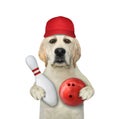 Dog with bowling pin and red ball