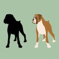 Dog boxer vector illustration flat style front silhouette