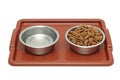 Dog breakfast is served Royalty Free Stock Photo
