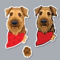 Dog breed Airedale terrier with bandana. Colorful sticker. Vector. Royalty Free Stock Photo