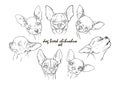 Dog breed chihuahua set