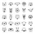 Dog breed collection icons - vector illustration. Royalty Free Stock Photo