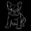 Dog breed cute pet animal bulldog french