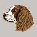 Dog breed English Cocker Spaniel silhouette face muzzle, painted in squares, pixels. Silhouette breed Cocker Spaniel. Vector illus