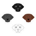 The dog breed is a labrador.Muzzle Labrador Retriever single icon in cartoon,black style vector symbol stock