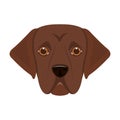 The dog breed is a labrador.Muzzle Labrador Retriever single icon in cartoon style vector symbol stock illustration web. Royalty Free Stock Photo