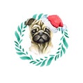 Dog Breed Pug In A Wreath Of Leaves. Portrait In Santa Claus Hat. Isolated On White Background. Merry Christmas